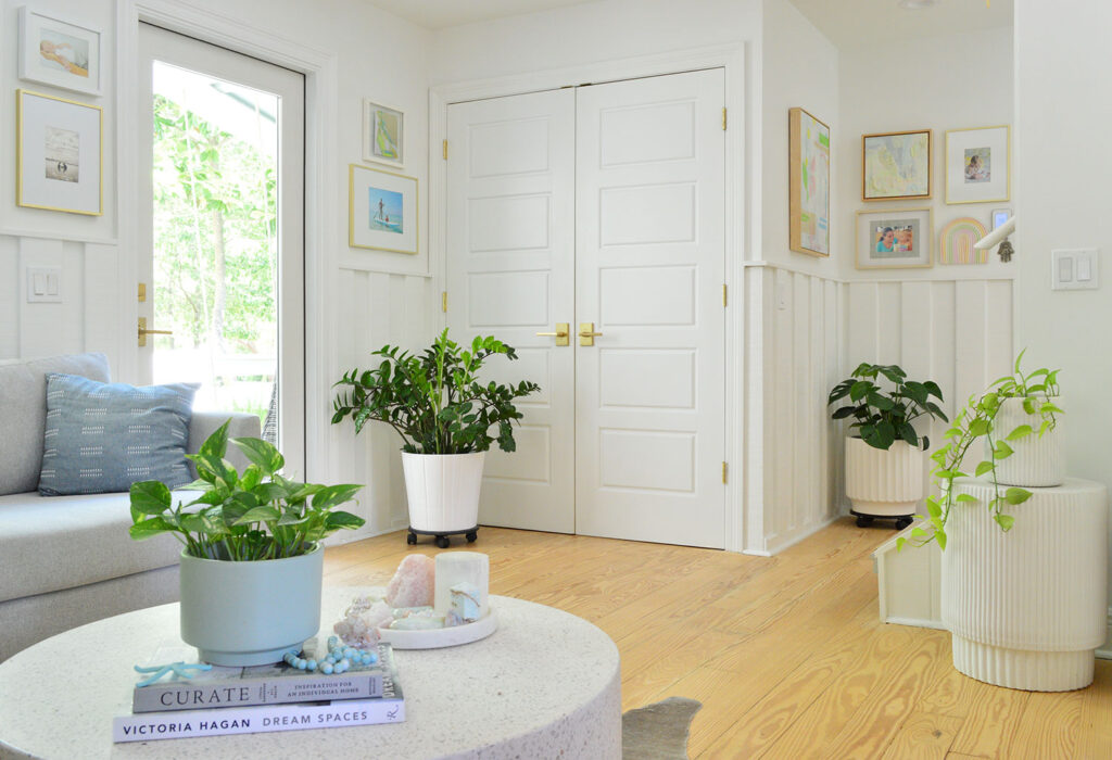 Houseplants On Surfaces In Low Light Sitting Area Pothos Monstera ZZ Plant